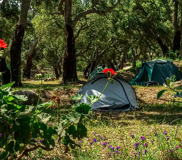 emplacement pour tente camping Porto Vecchio sud Corse