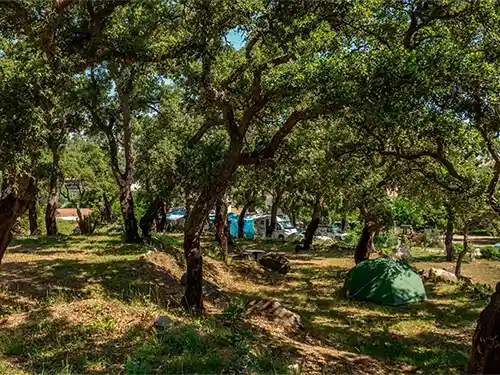 emplacement camping tente en Corse du sud